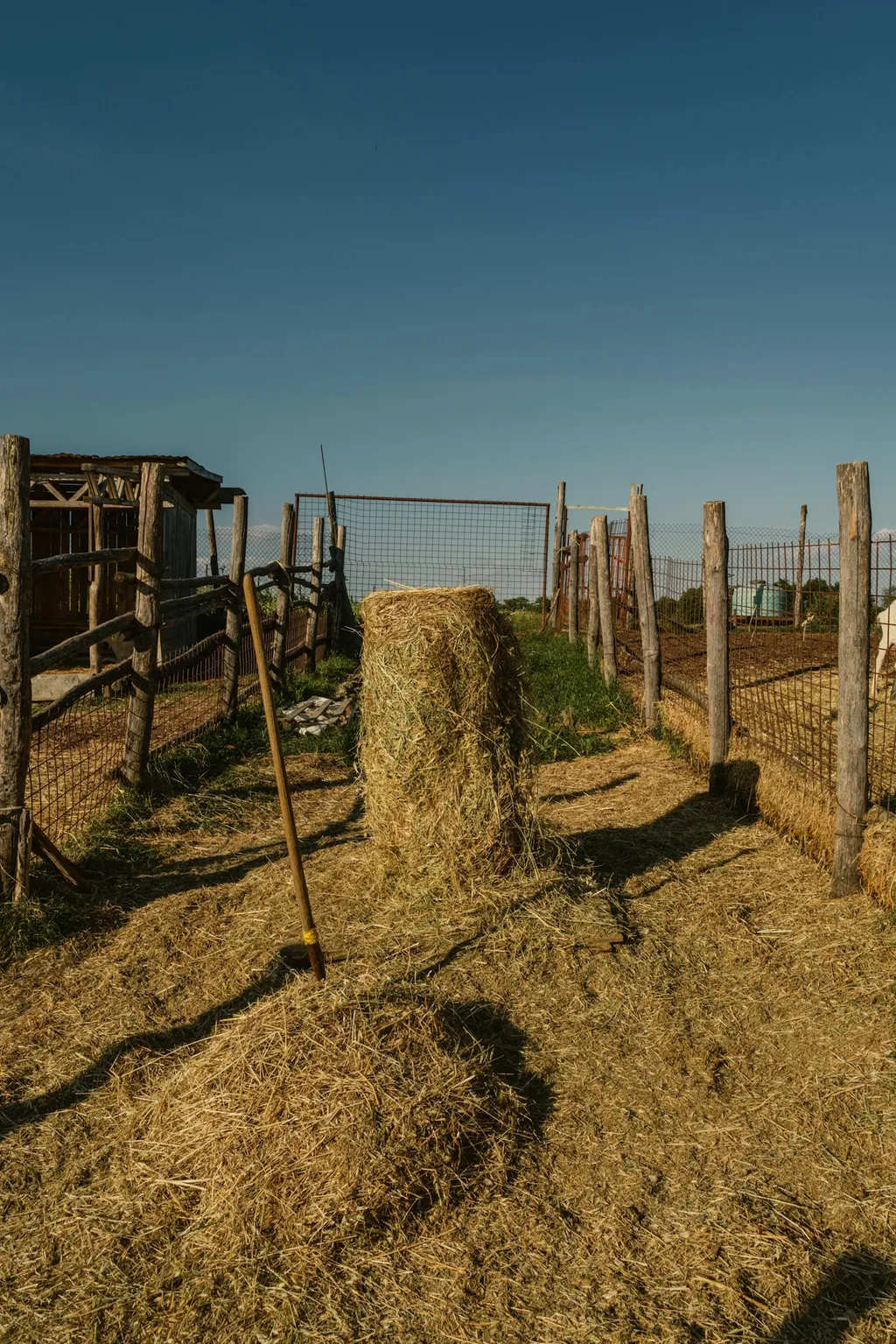 Podere il Casale Tenda