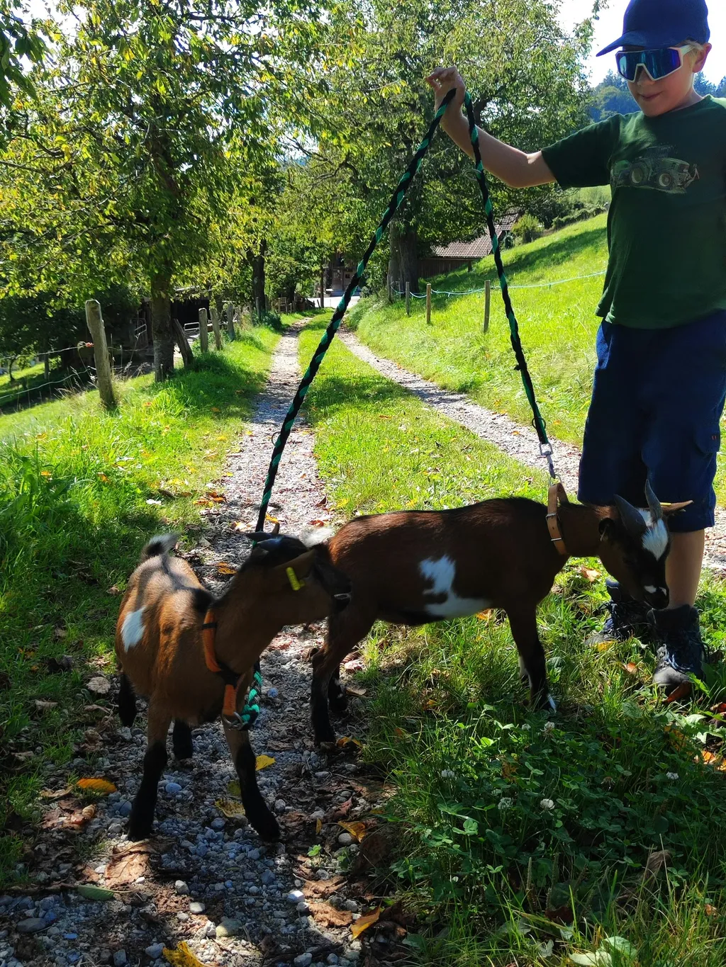 Am Ende der Chriesiallee