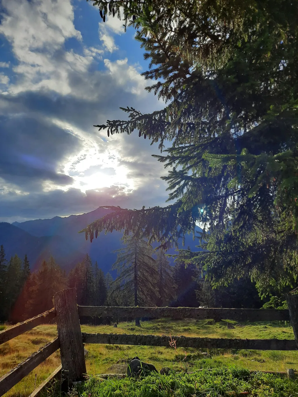 Ein Sommer wie damals...