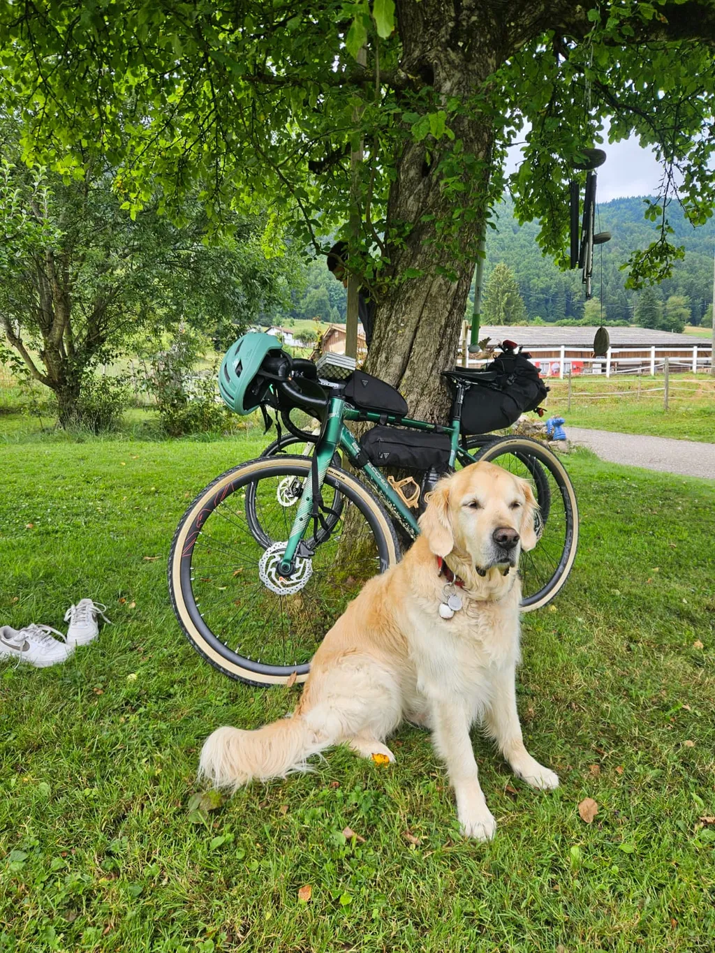 Bild von Chiara für den Spot 250