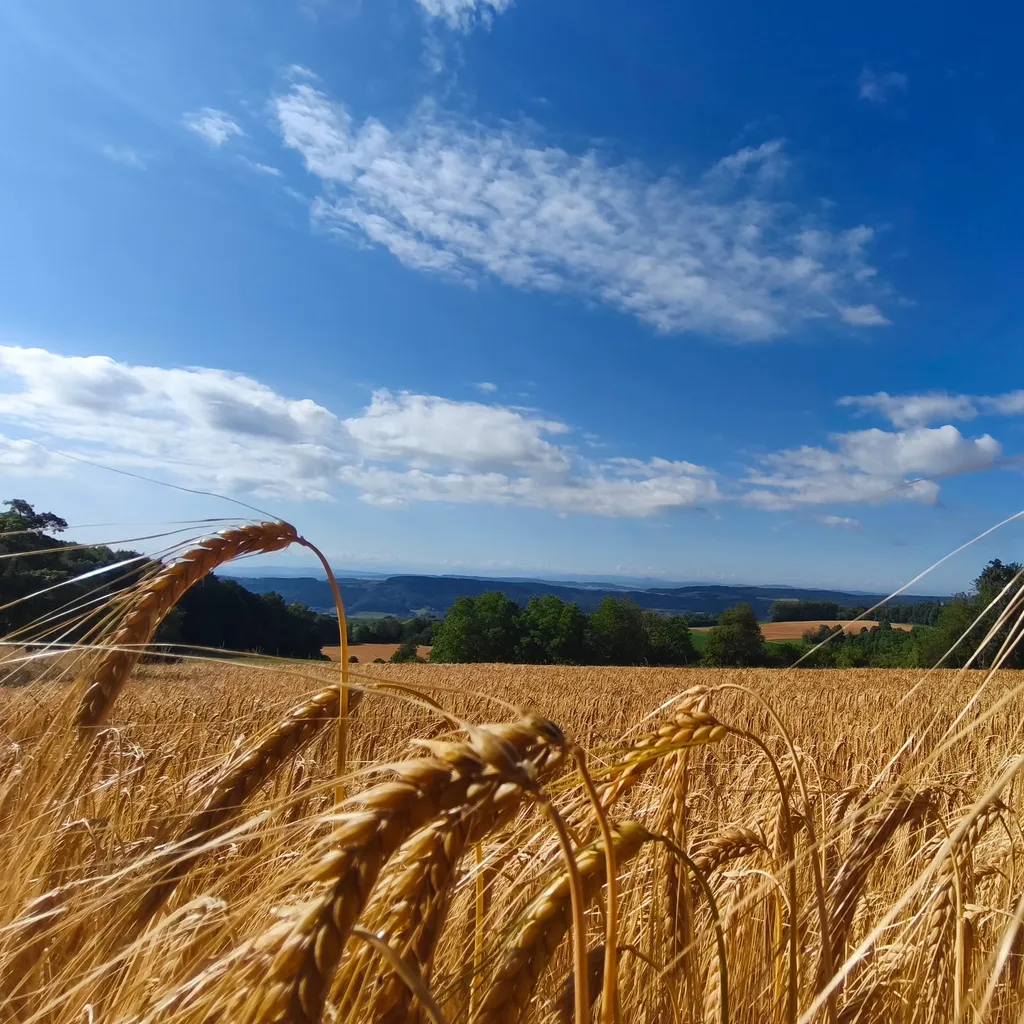Stefan & Julia avatar