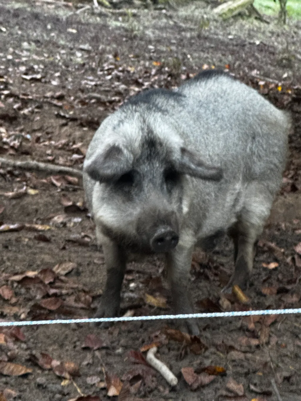 Bild von Raphael für den Spot 224