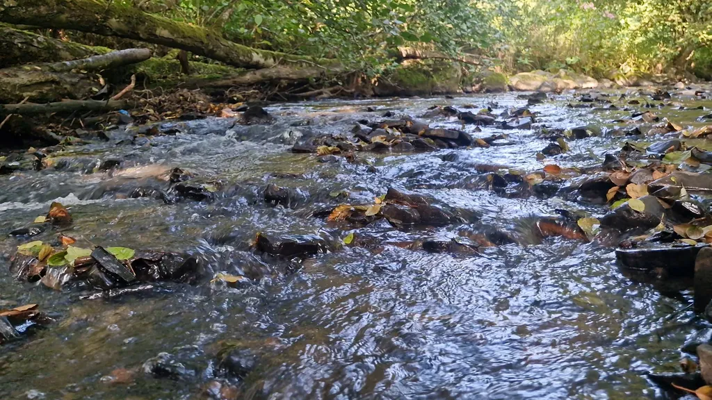 Immagine di Omar per lo spot 4356