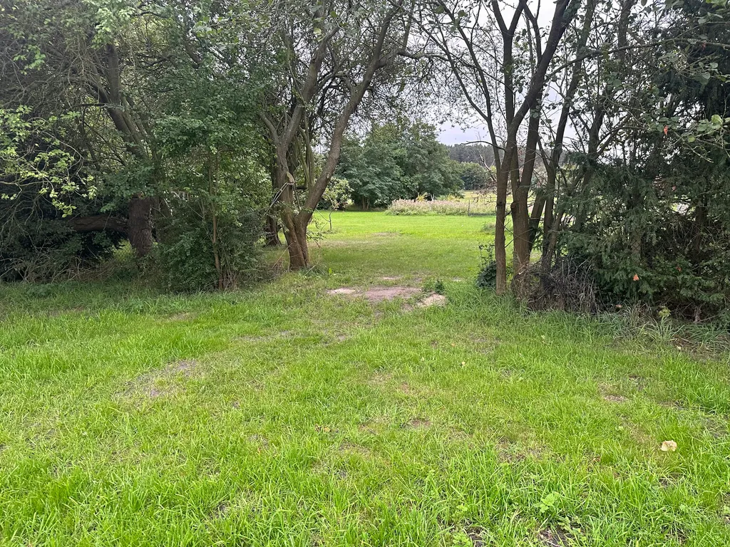 Idyllischer Apfelgarten mit Sauna
