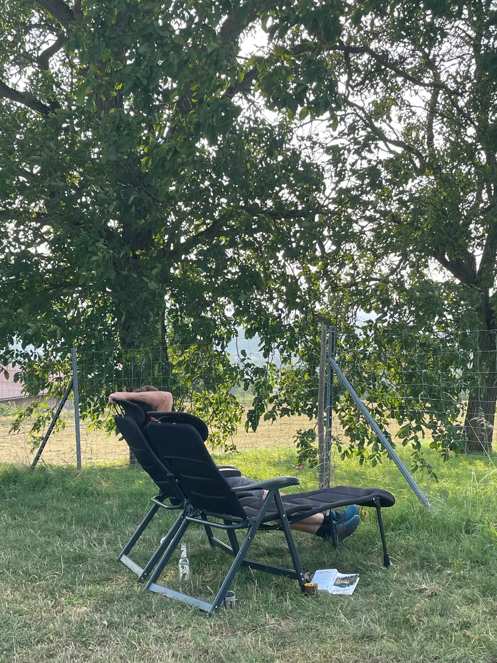 Bild von Sabine für den Spot 4127