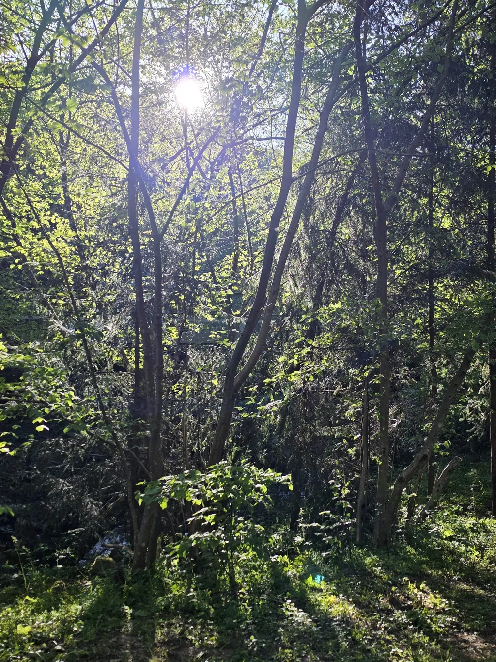 Bild von Frank für den Spot 1584