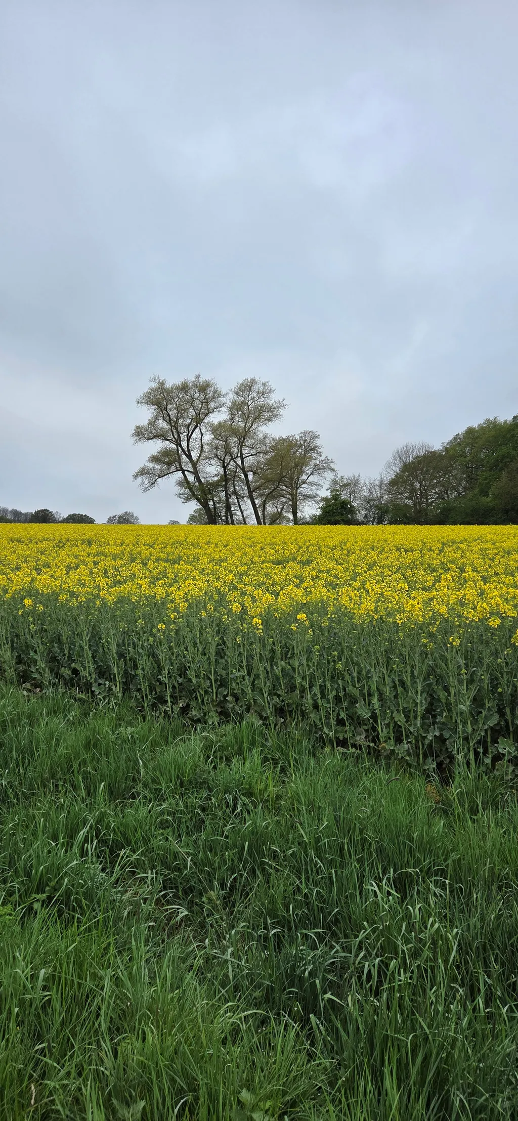 Bild von Karina für den Spot 3646