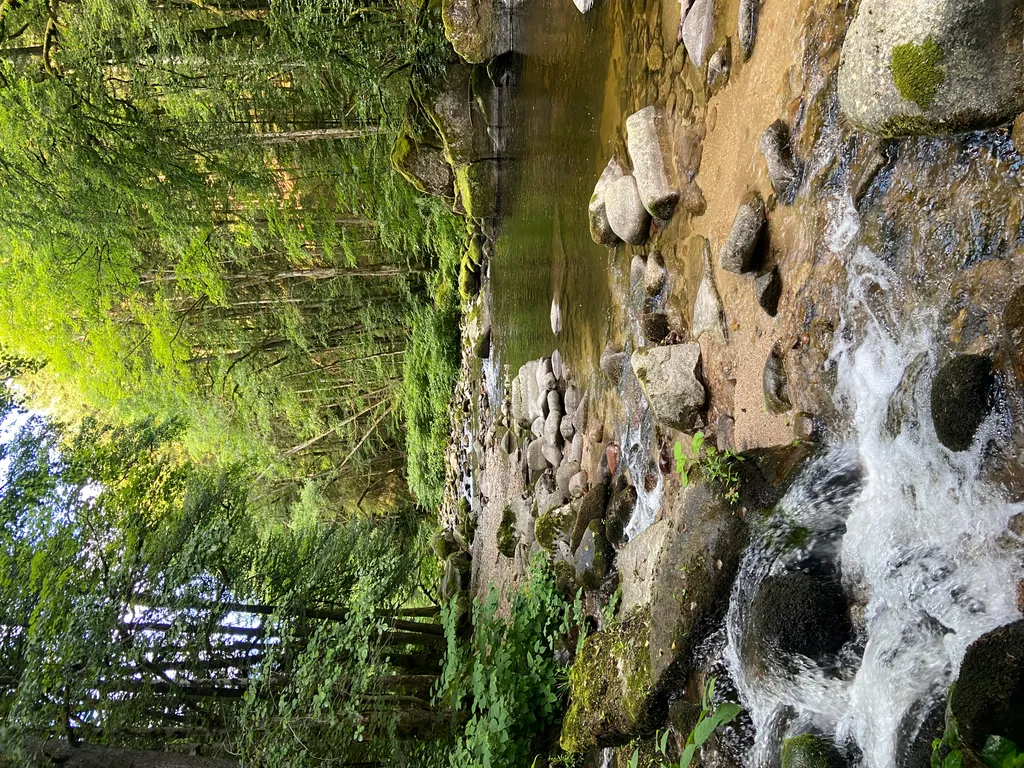 Bild von Tom für den Spot 3643