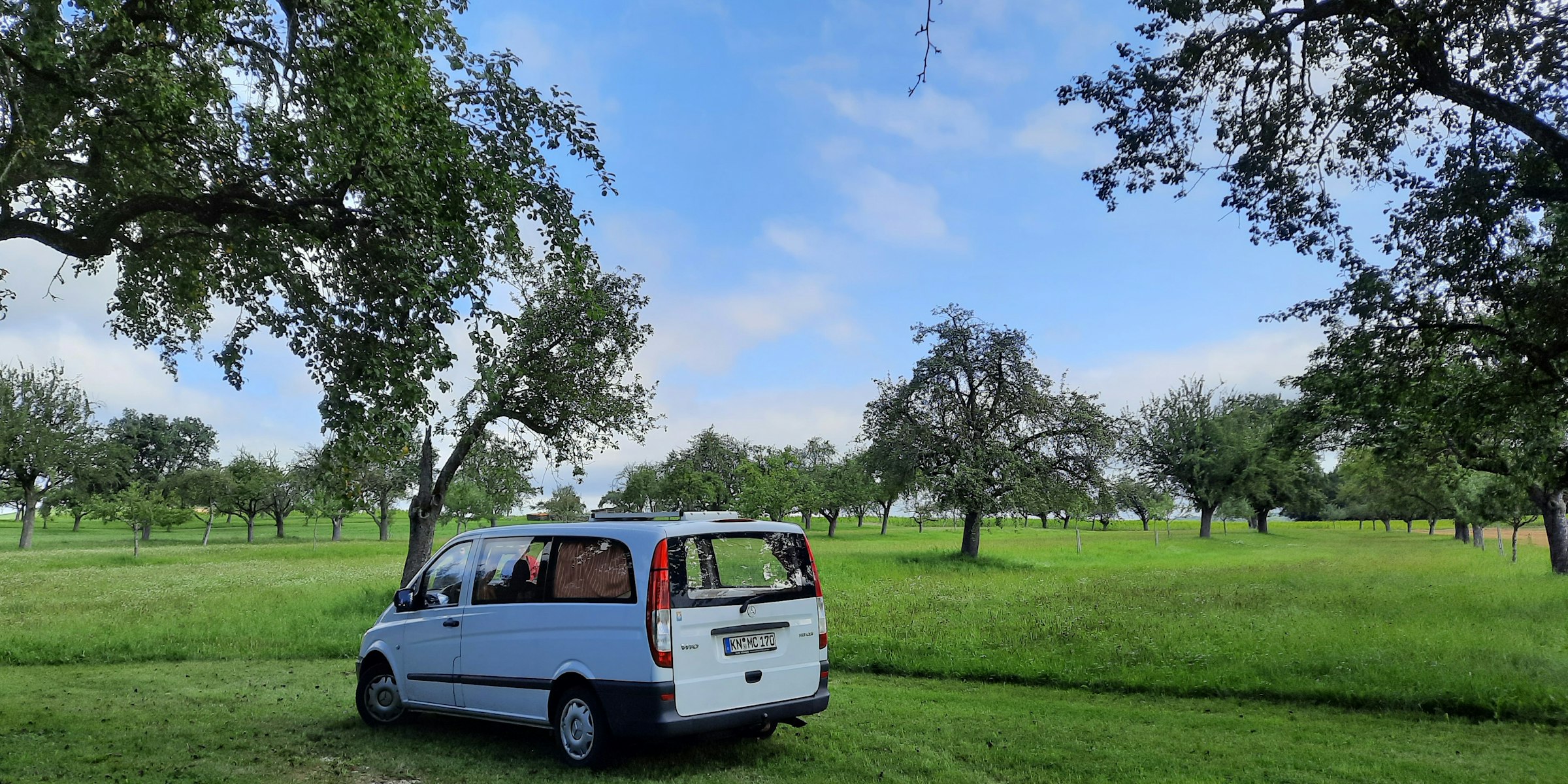 Mitten in der Streuobstwiese - typisches Kulturgut im Hegau