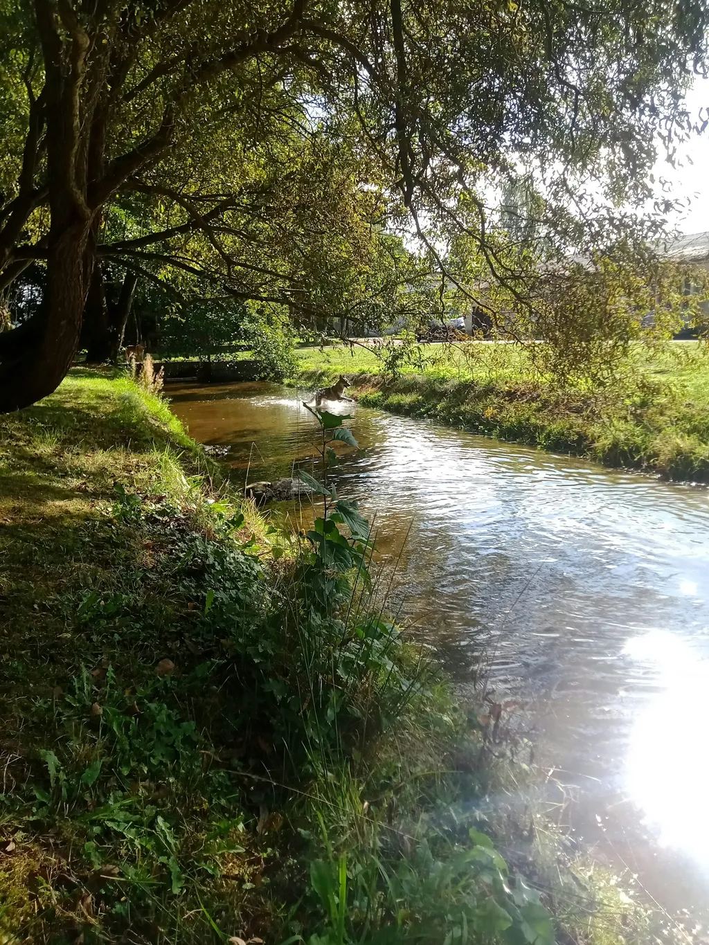 Ehemalige Forellenzucht