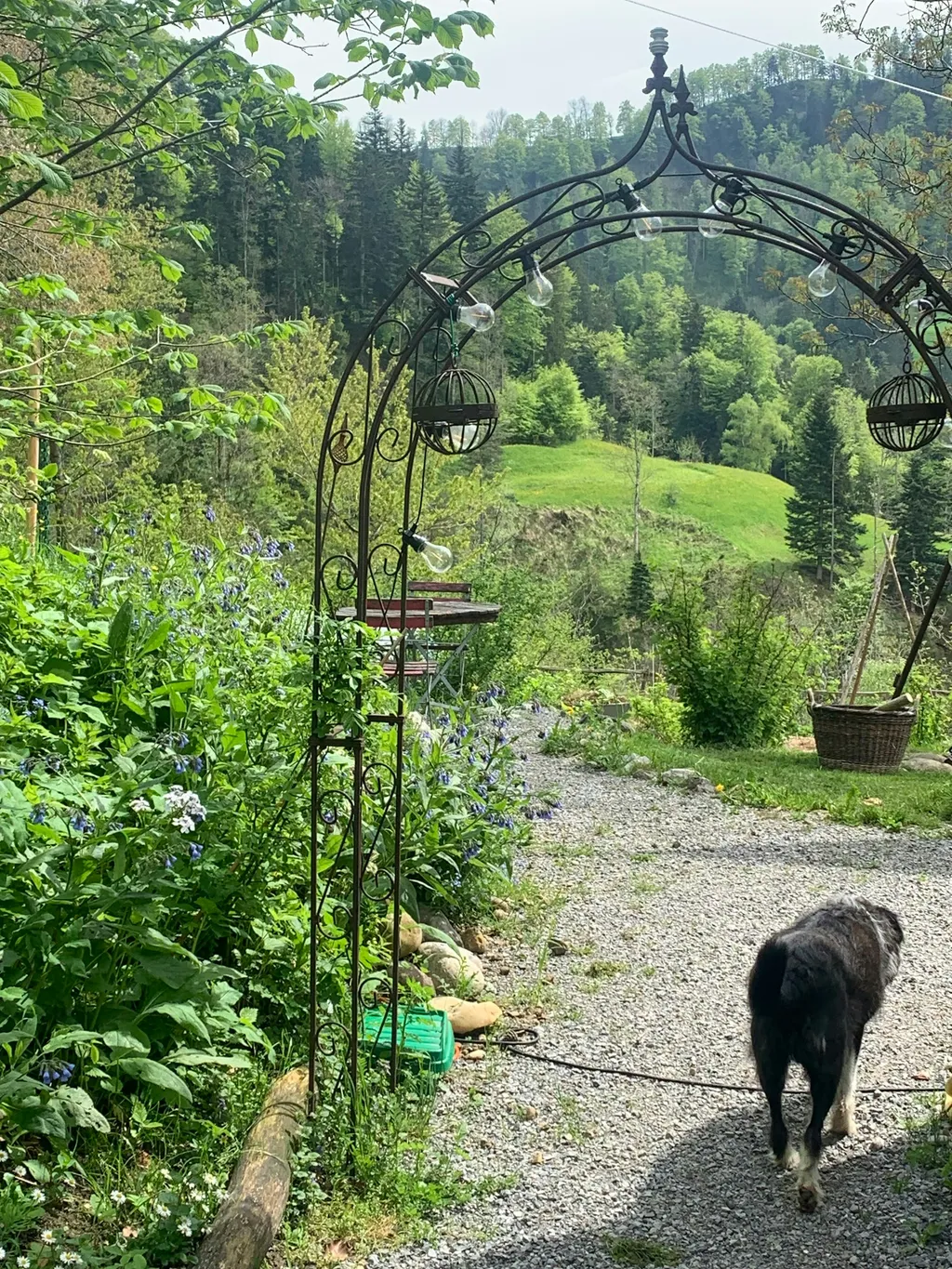 Camping Pod mitten im Naturgarten