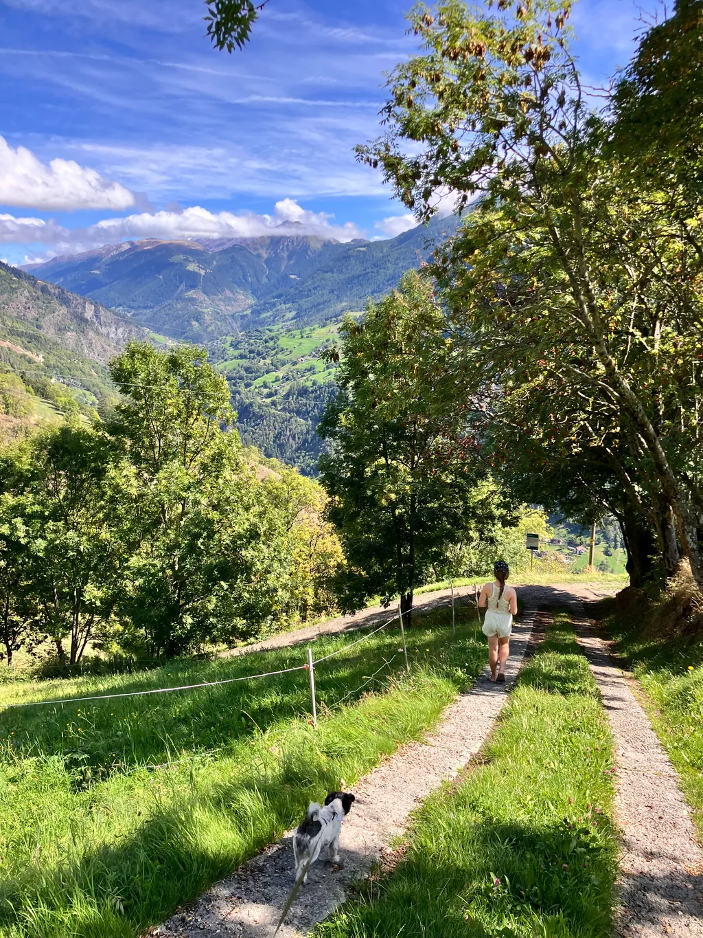 Image by Charlotte for spot 4484