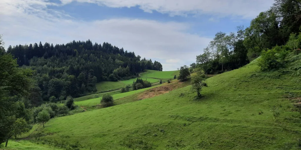 Naturbaden mit Blick auf Freiburg