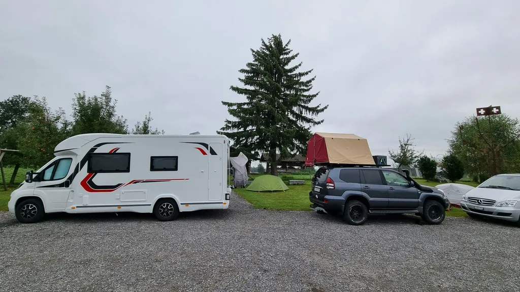 Hirschpark live - Nah am Wild sein