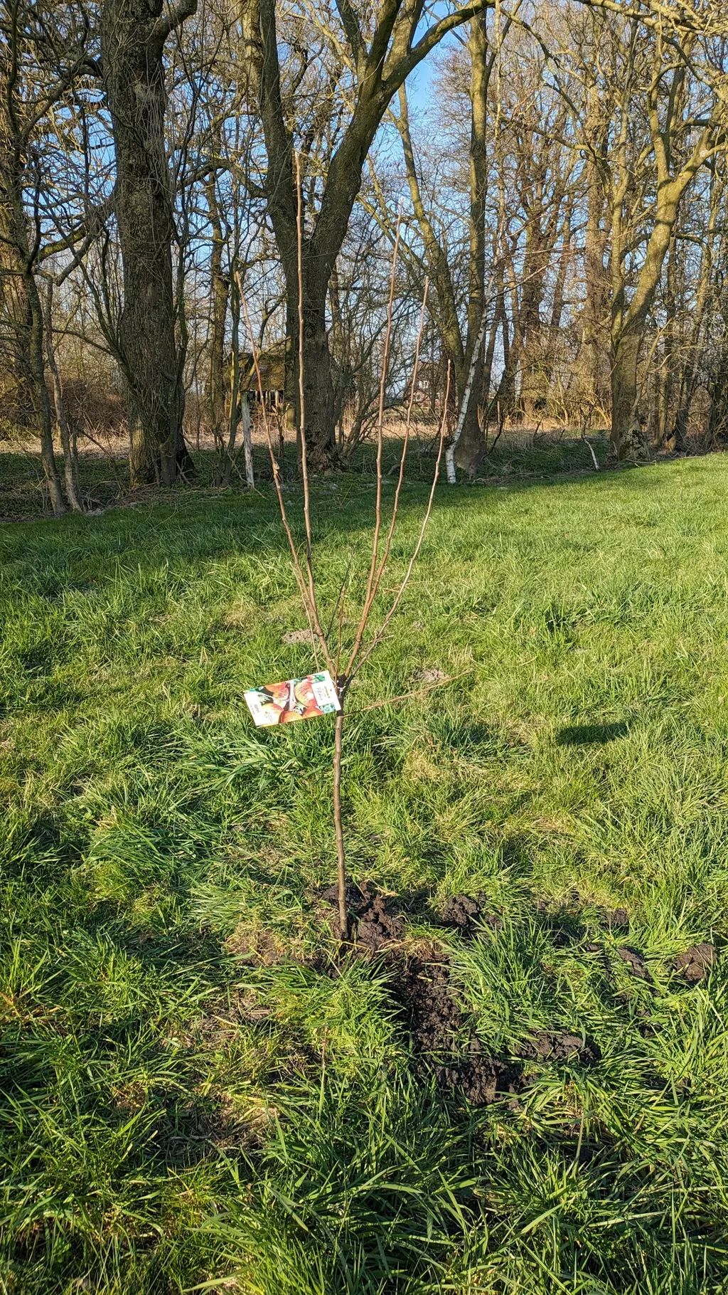 Zelten nahe Krautsand im Moor