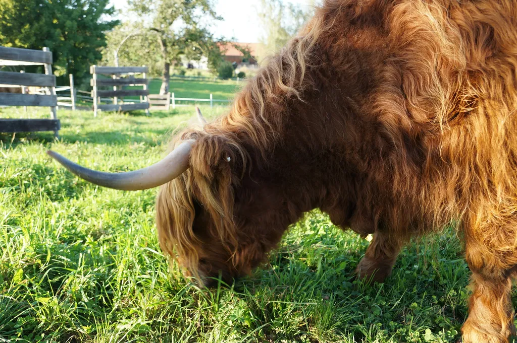 Camping der besonderen Art!