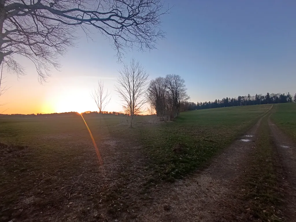 Chemin d'accès au campement