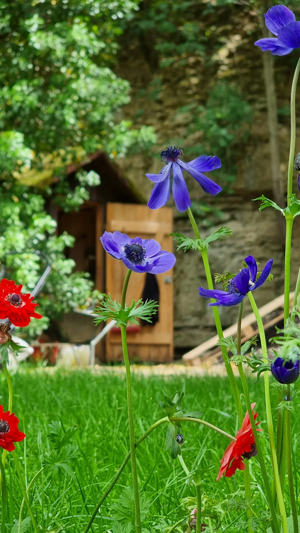 Privater Garten am Wasser (Neckar)