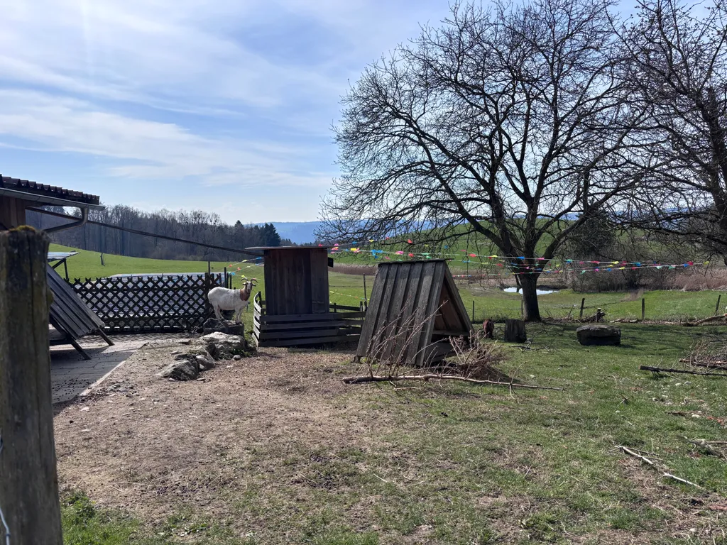 Bild von Heike für den Spot 1387