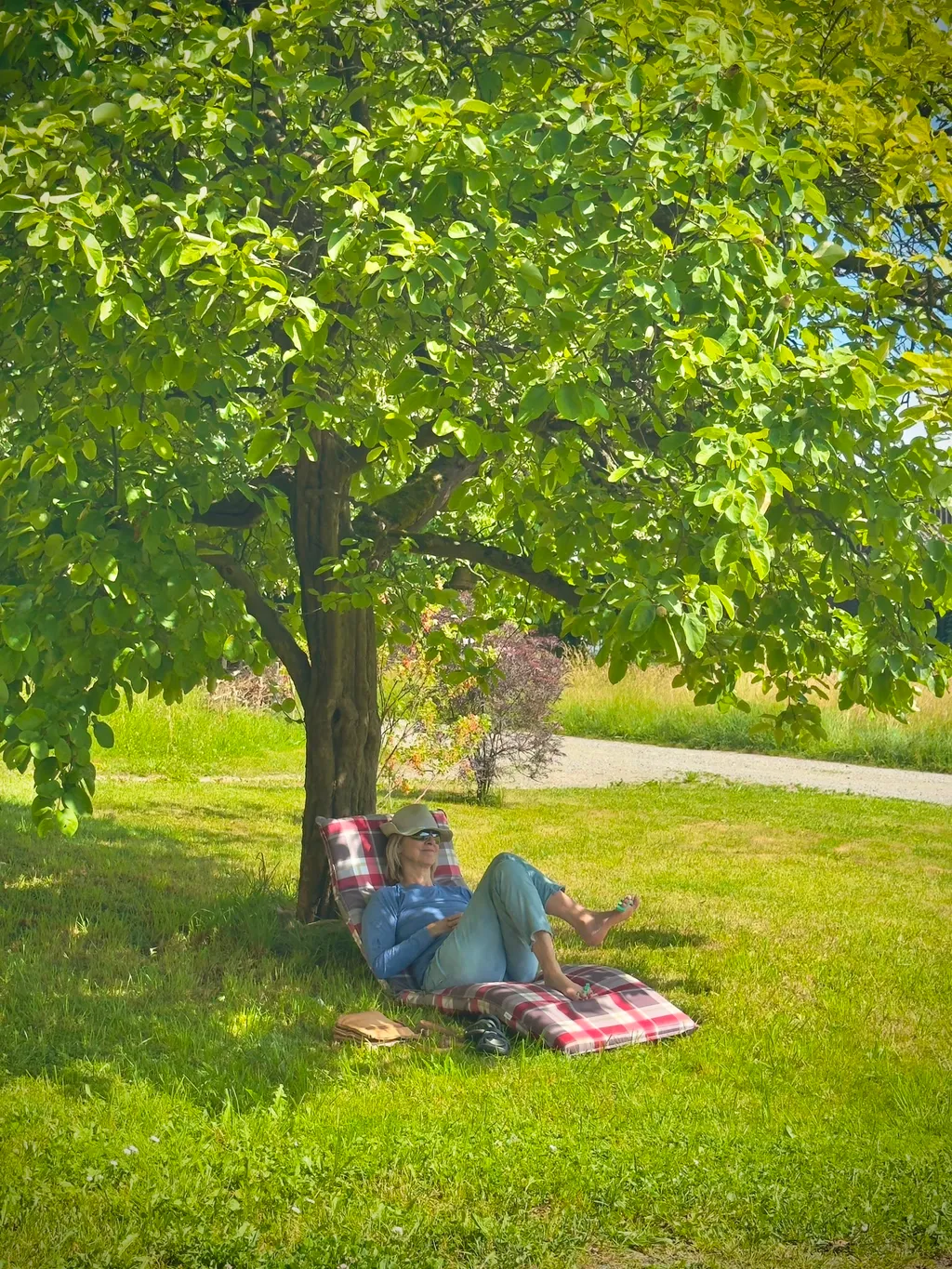 Bild von Esther für den Spot 223