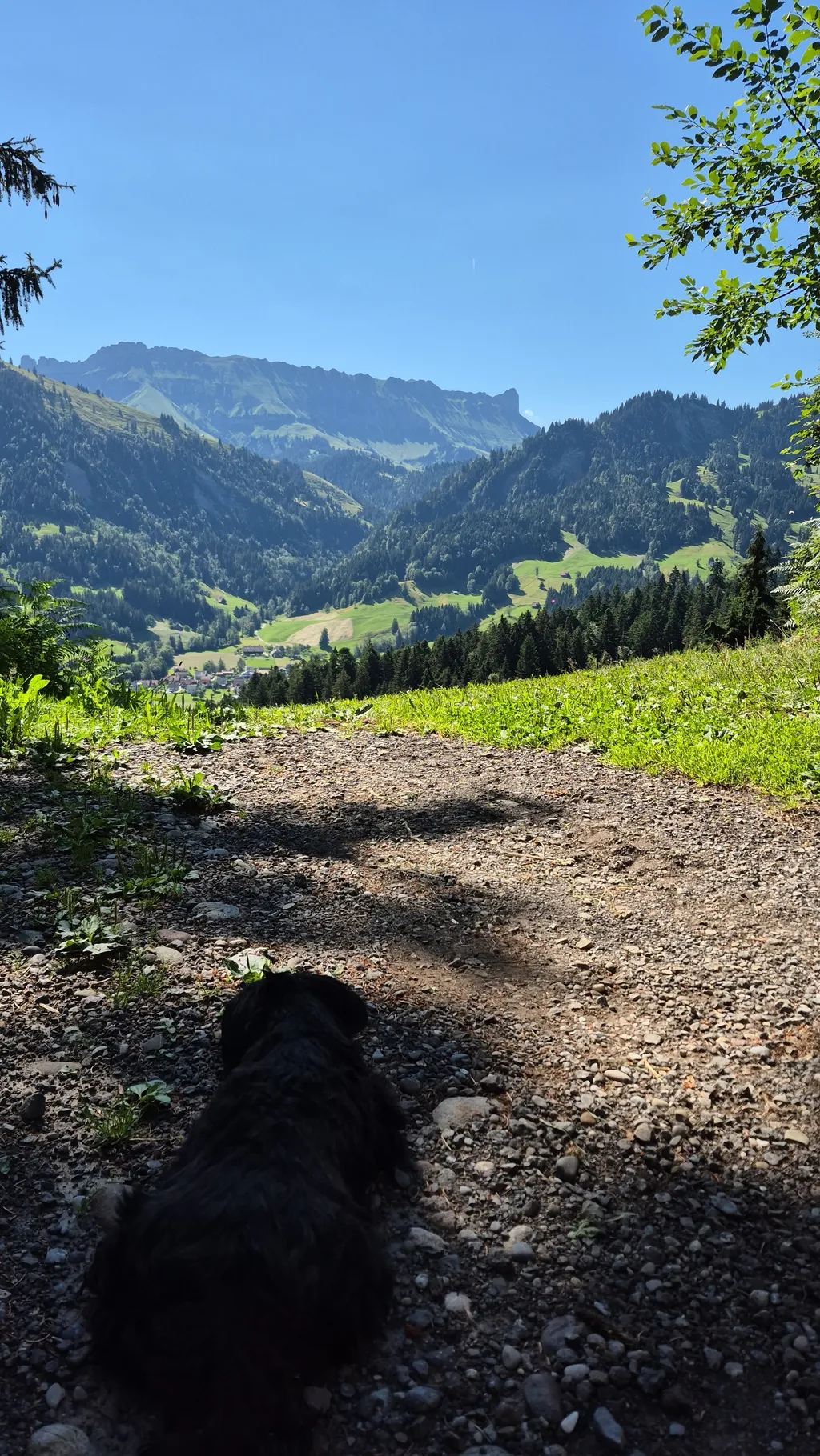 Bild von Franziska für den Spot 216