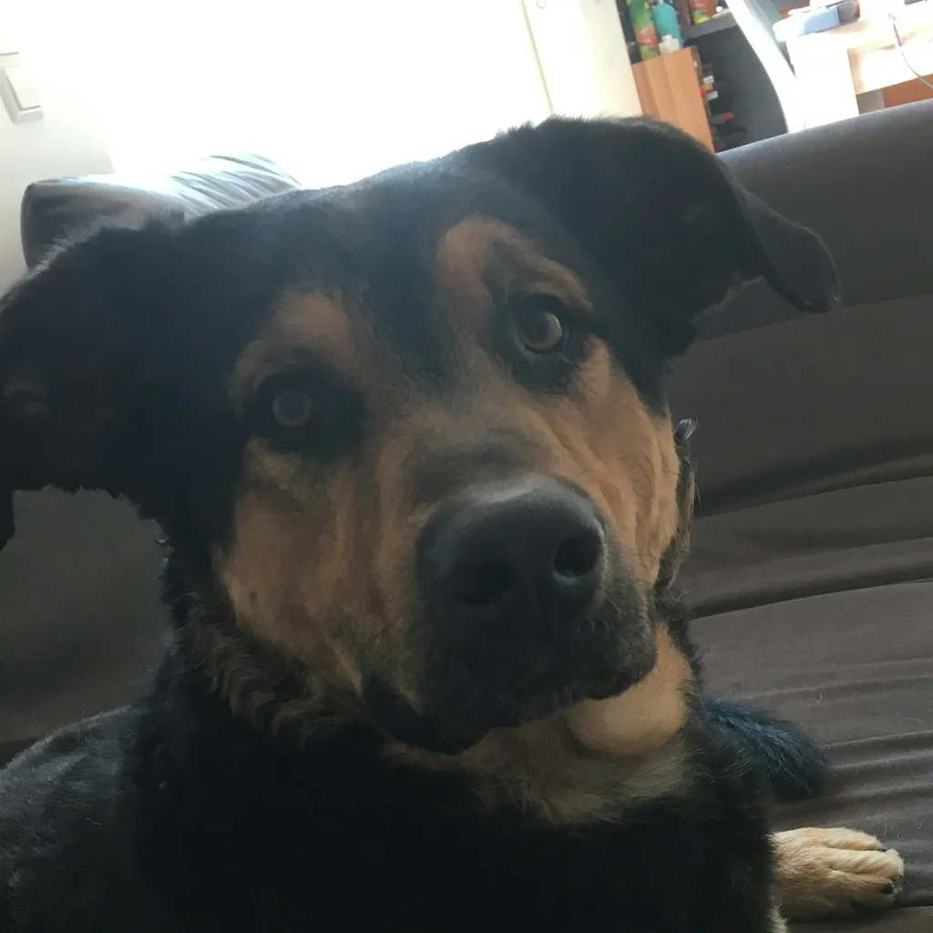 Profilbild von Teresa