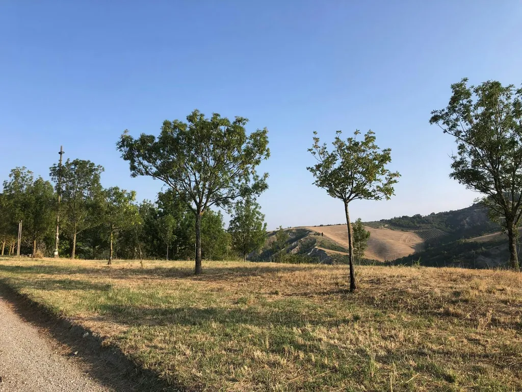 Proprietà Agrituristica San Martino