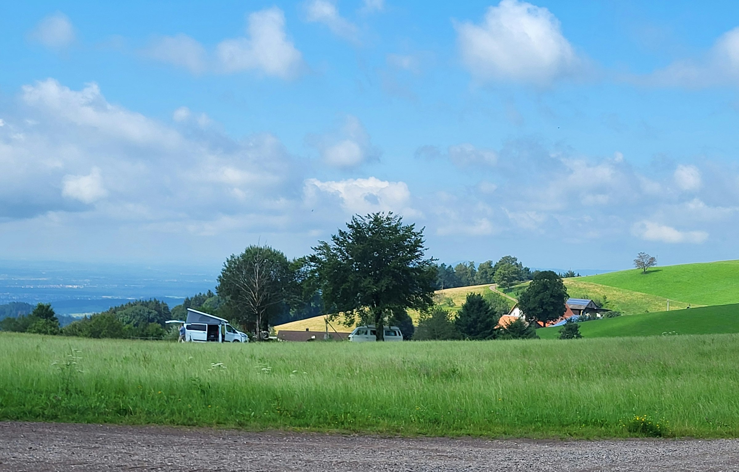 Am Kandelhöhenweg Auf der Wiese