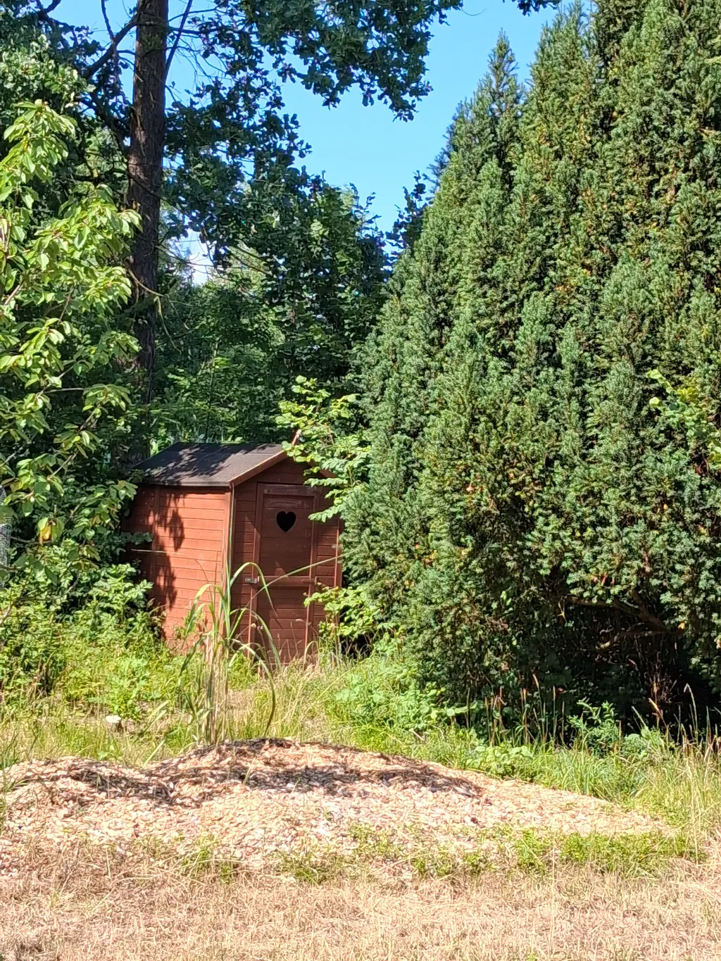 Bild von Anke für den Spot 1573