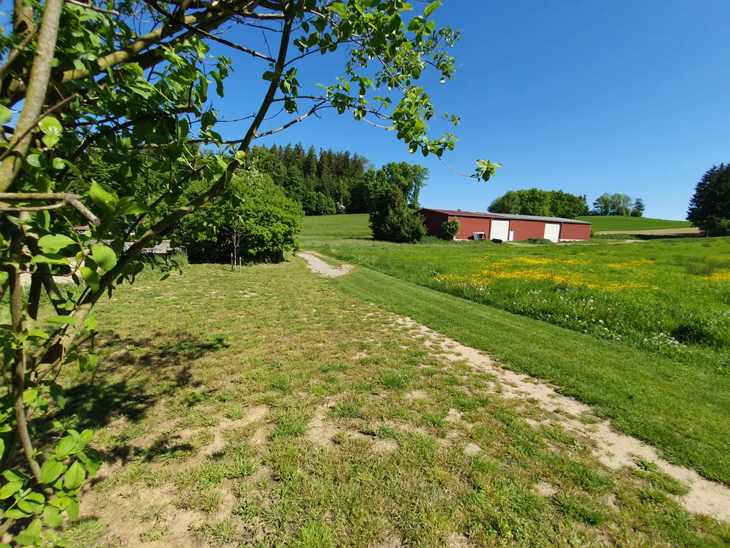 Natur pur: Ihr Stellplatz am ruhigen Ortsrand