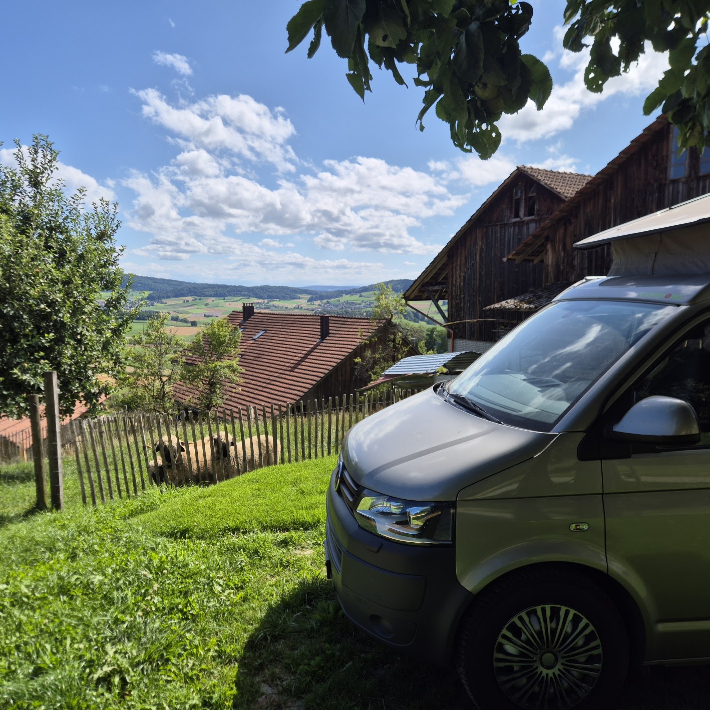 Camp beim Himmelricher Apfelbaum