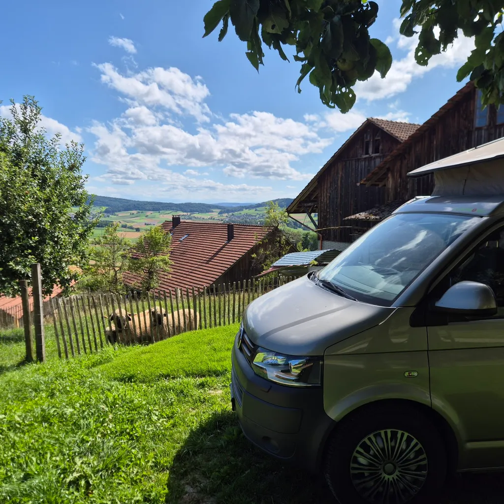 Camp beim Himmelricher Apfelbaum