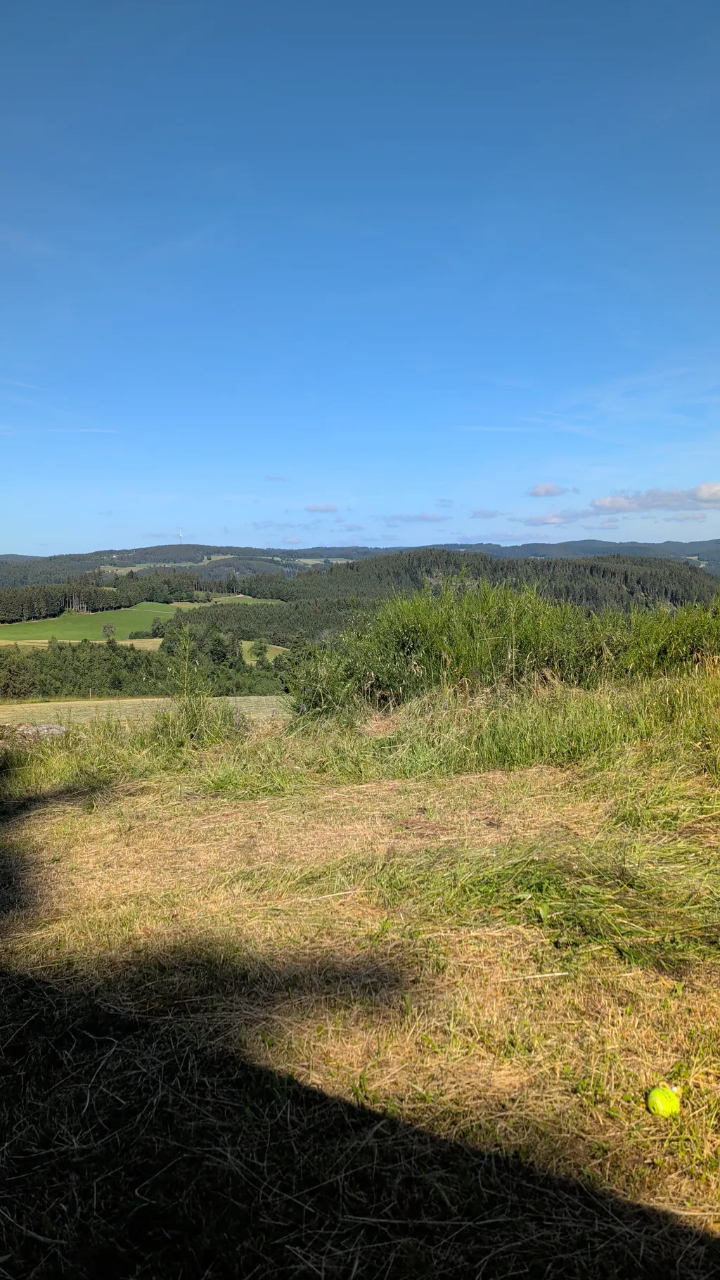 Bild von Elke für den Spot 5226