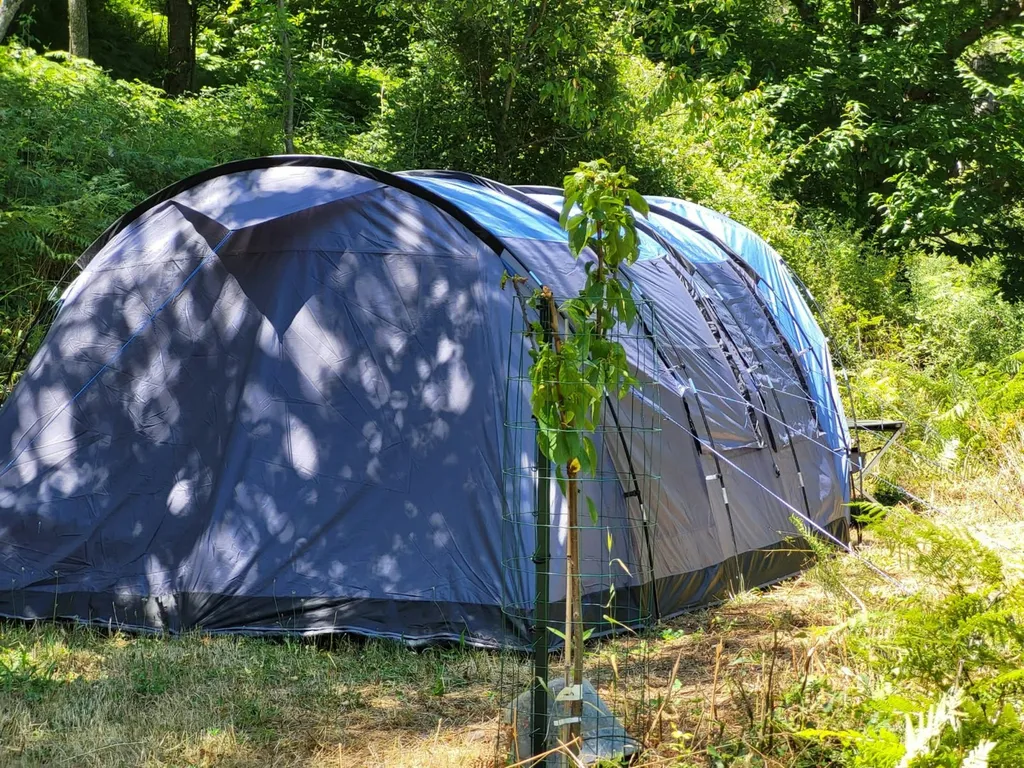 Platz 2 für großes Hauszelt