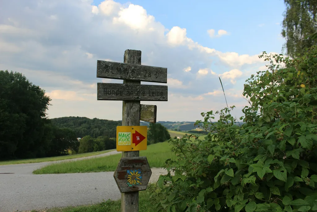 Donau Camp
