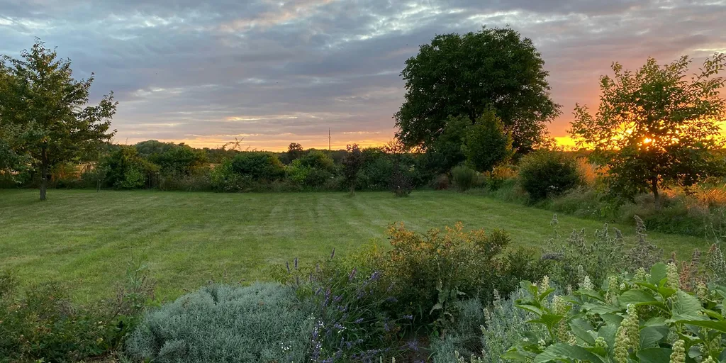 Streuobstwiese mit Sonnenuntergang