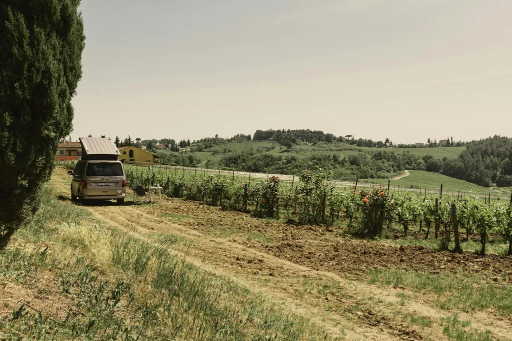 Camp nel vigneto 🍇🍷