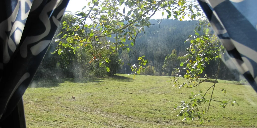 Bauwagen am Rand einer Wiese