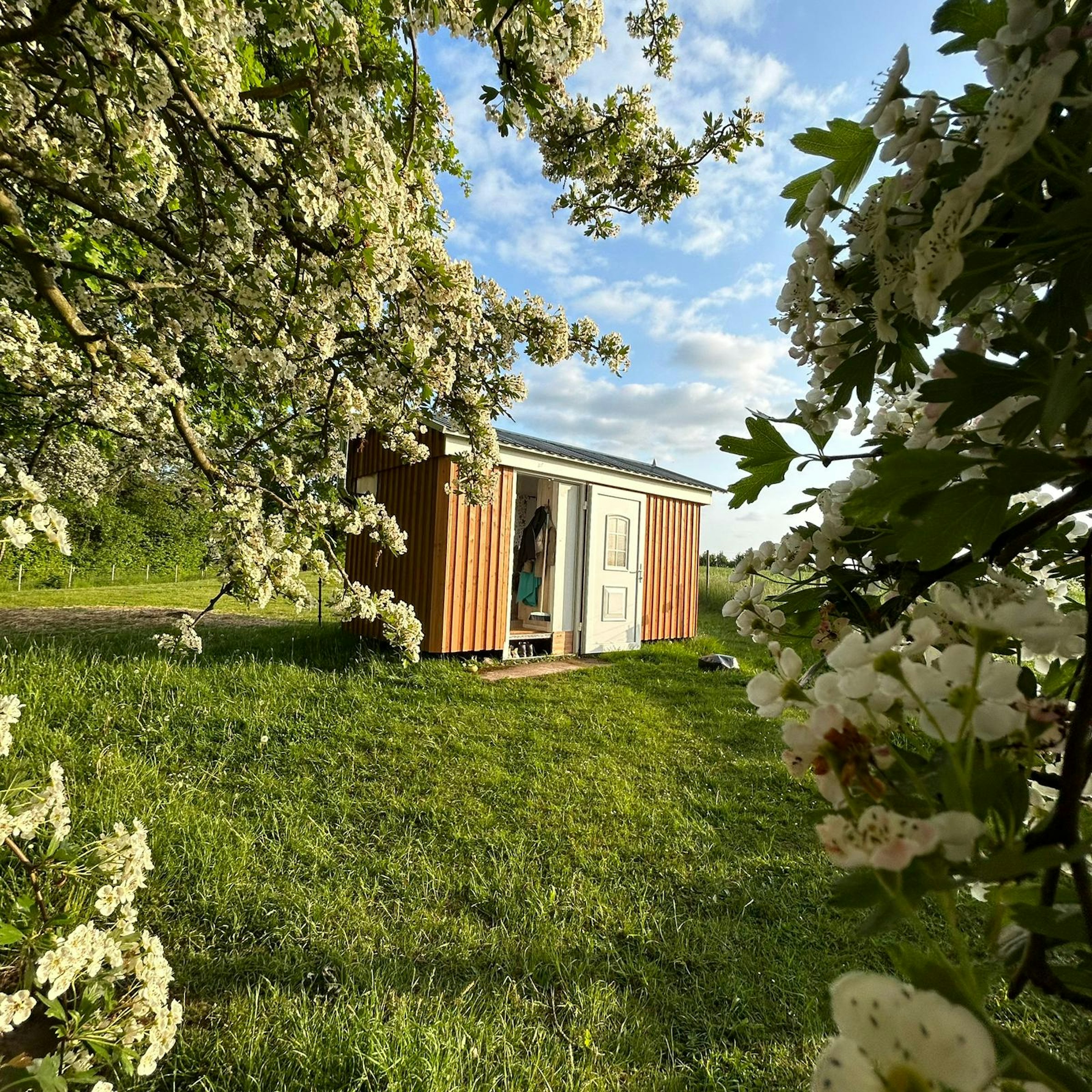 Idyllischer Weidewagen im Norden