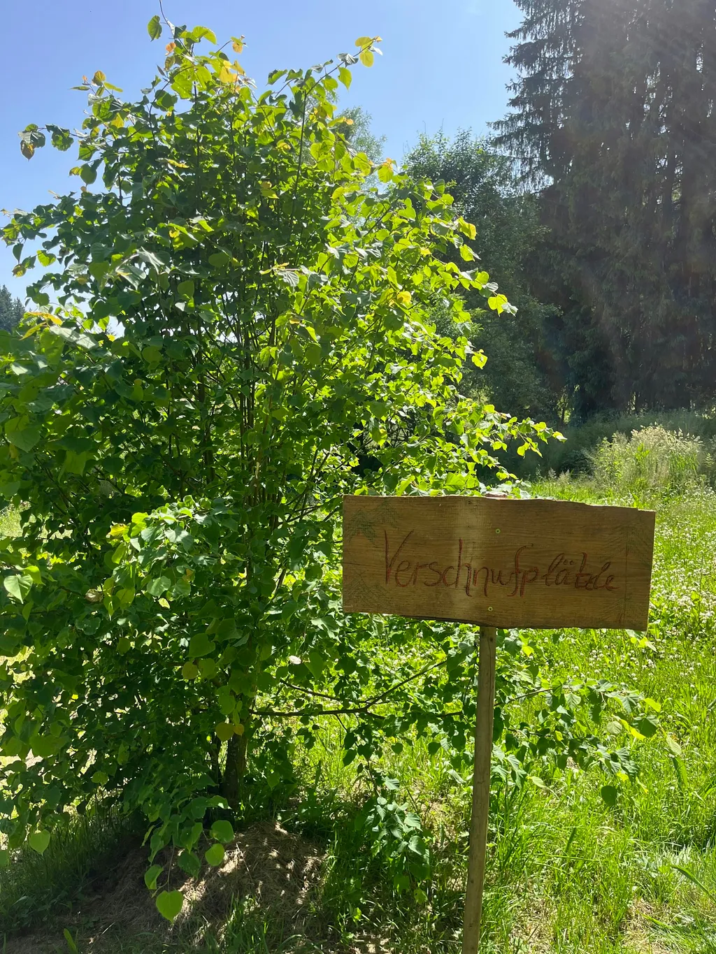 Das Camp erkennt ihr an einem Holzschild, auf dem der Name des Camps "Verschnufplätzle" steht. Das Schild befindet sich auf der linken Seite der Zufahrt, neben einem kleinen Baum.