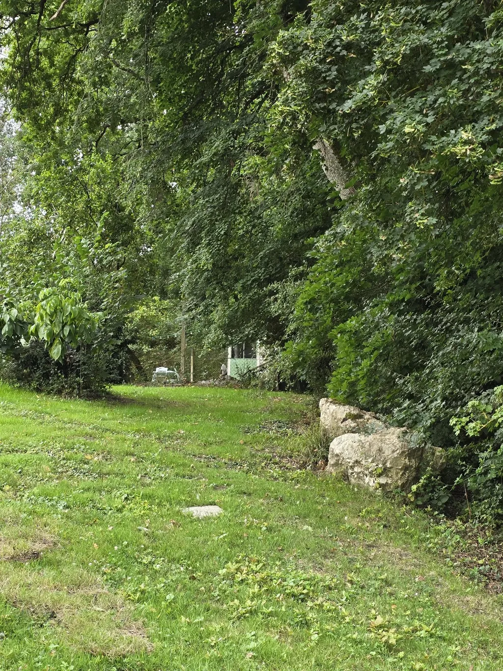 Un écrin de verdure en lisière de forêt, où la cabane s’intègre naturellement au paysage. Ici, le silence règne, seulement troublé par le bruissement des feuilles.