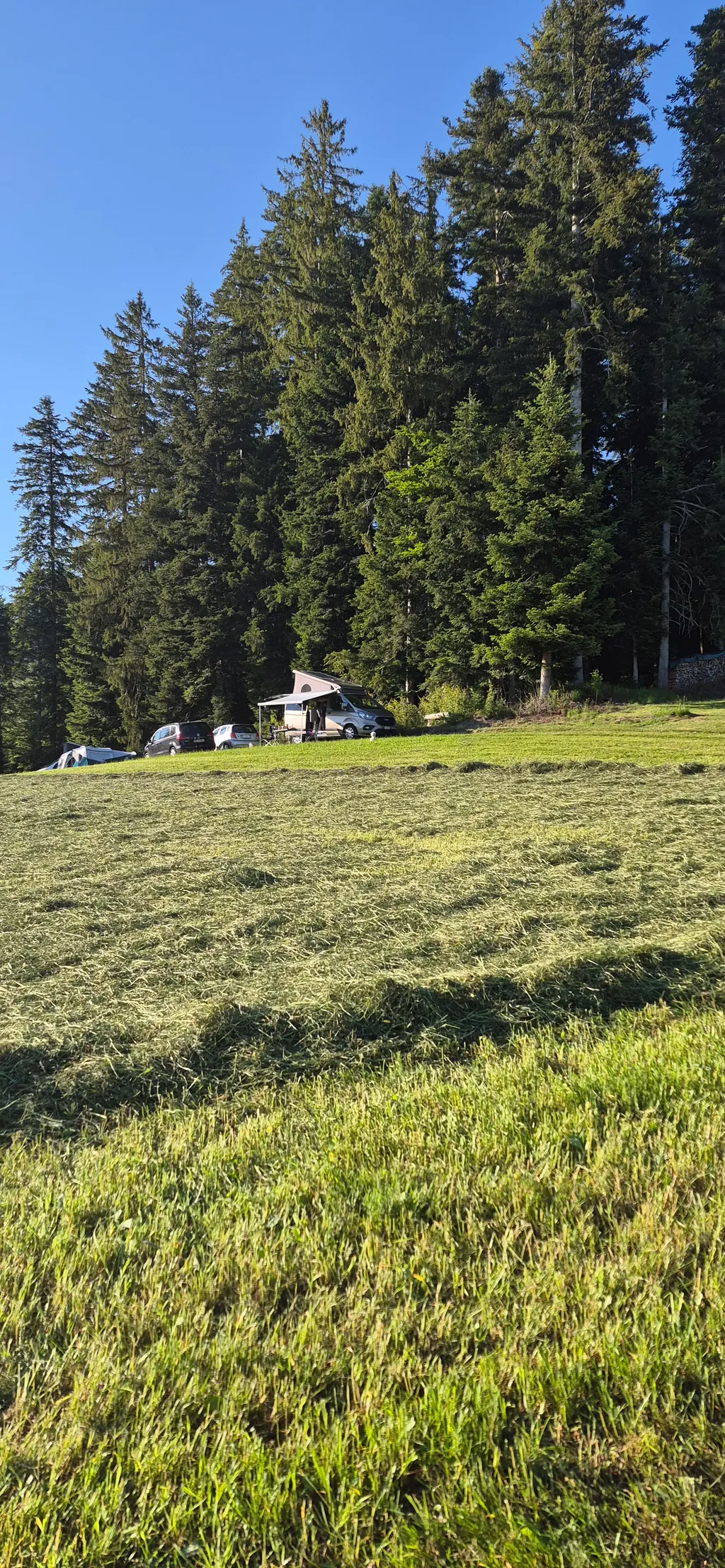 Bild von David für den Spot 335