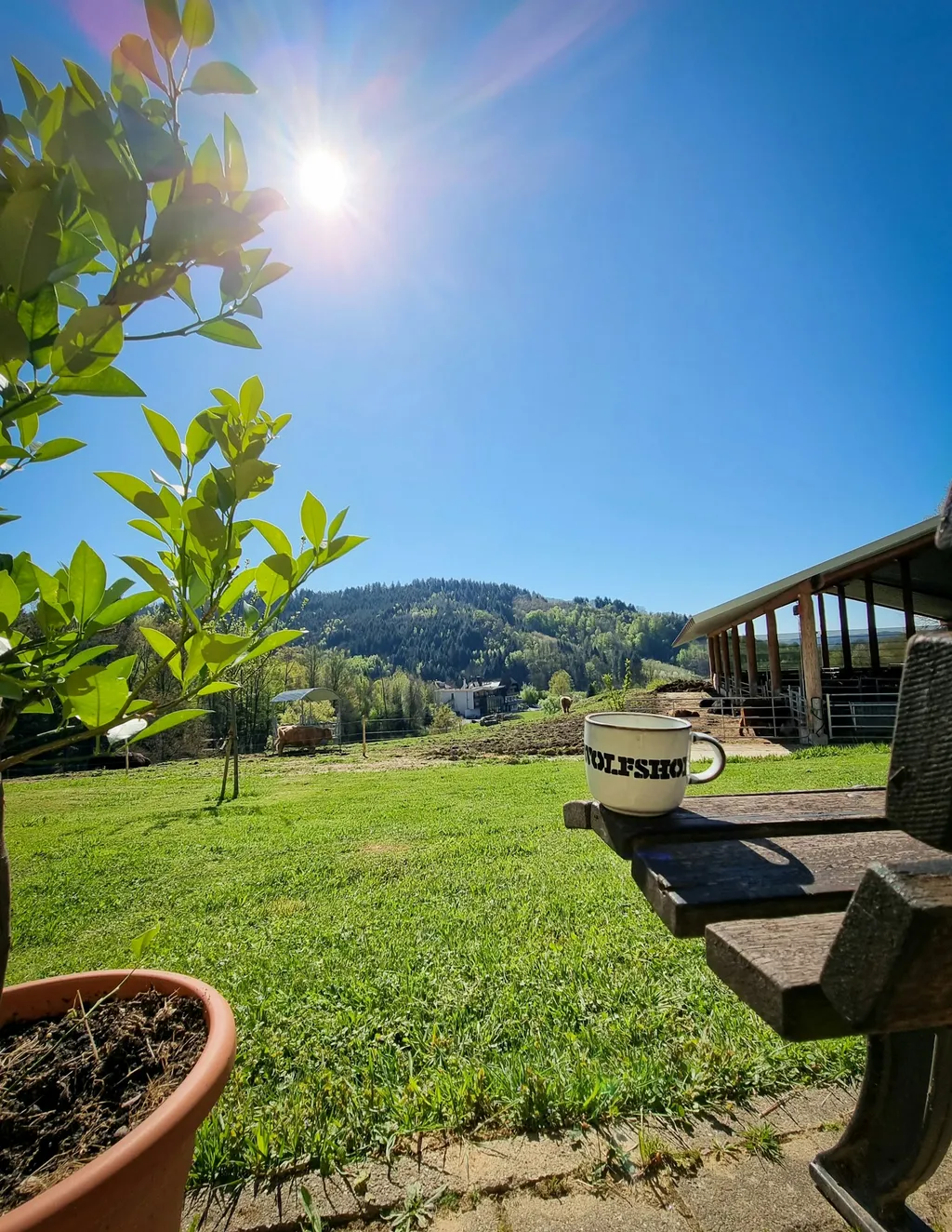 Stellplatz an der Kuhweide