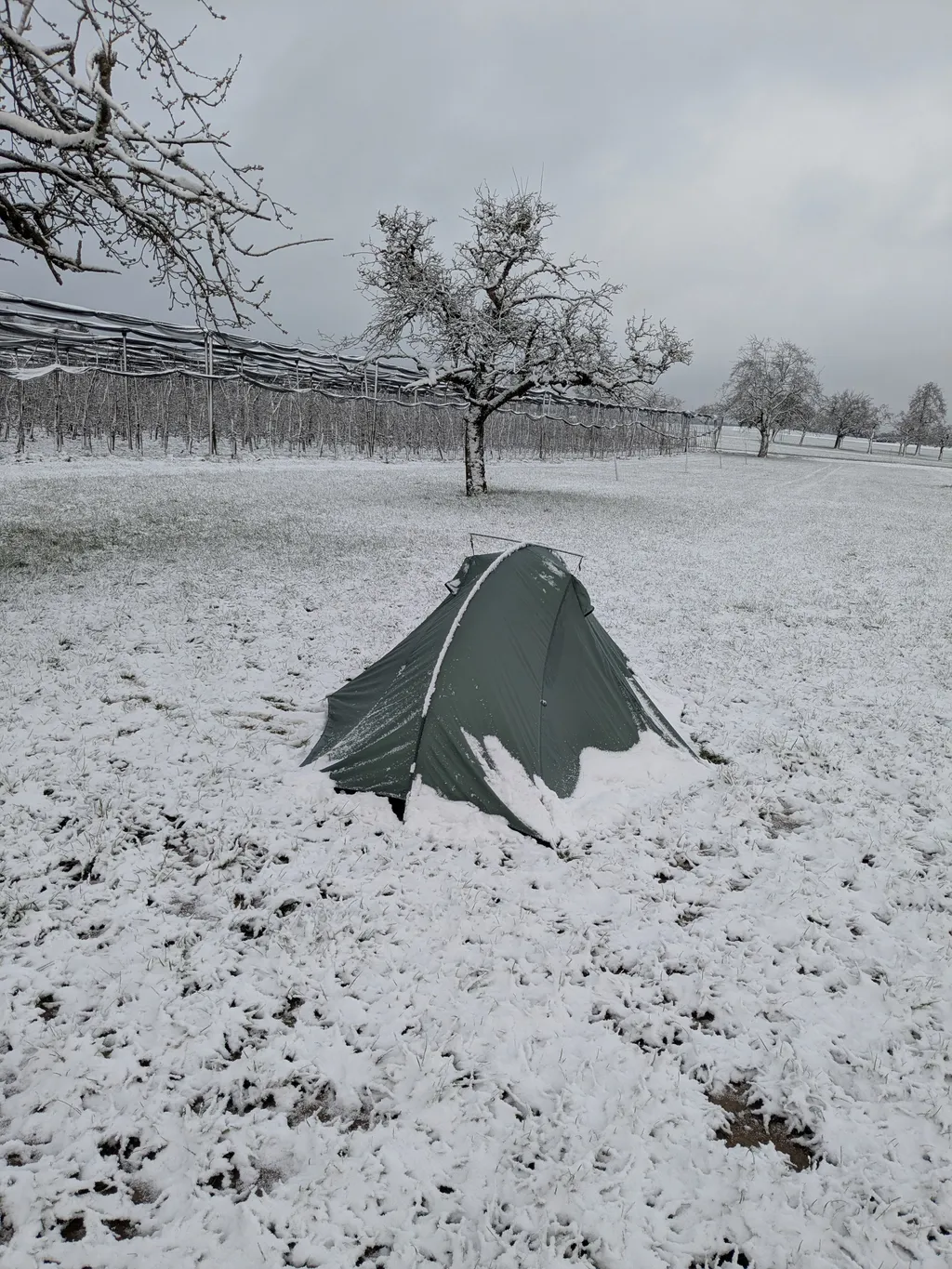 Bild von Nils für den Spot 1621
