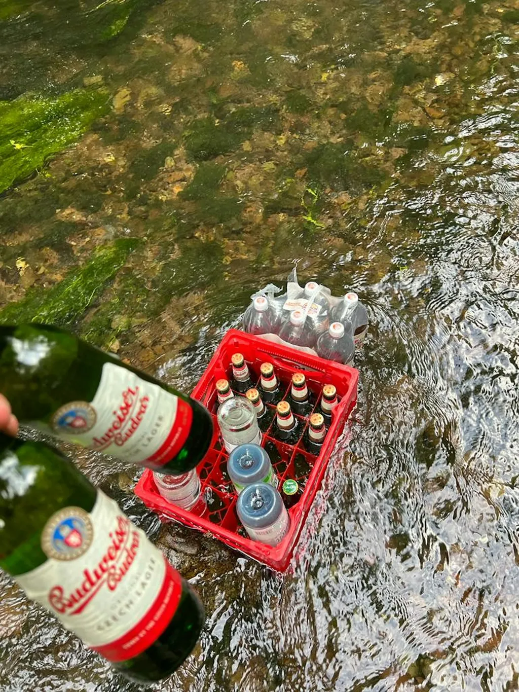 Entspannte Atmosphäre im Grünen