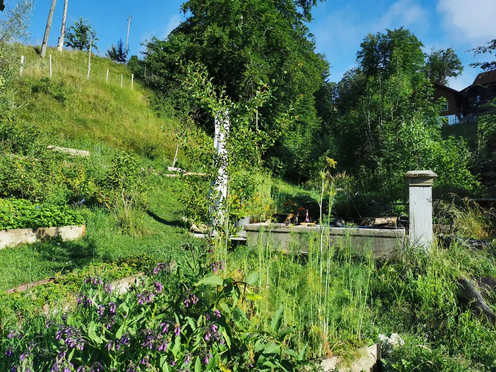 Summerweid in Sarnen