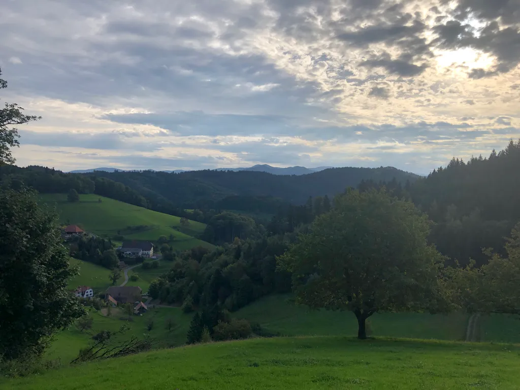 Bild von Marina für den Spot 1308