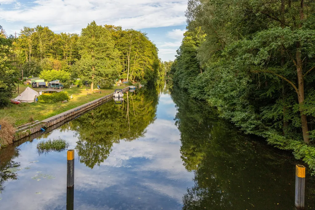Sonnenwiese im Bermudadreieck