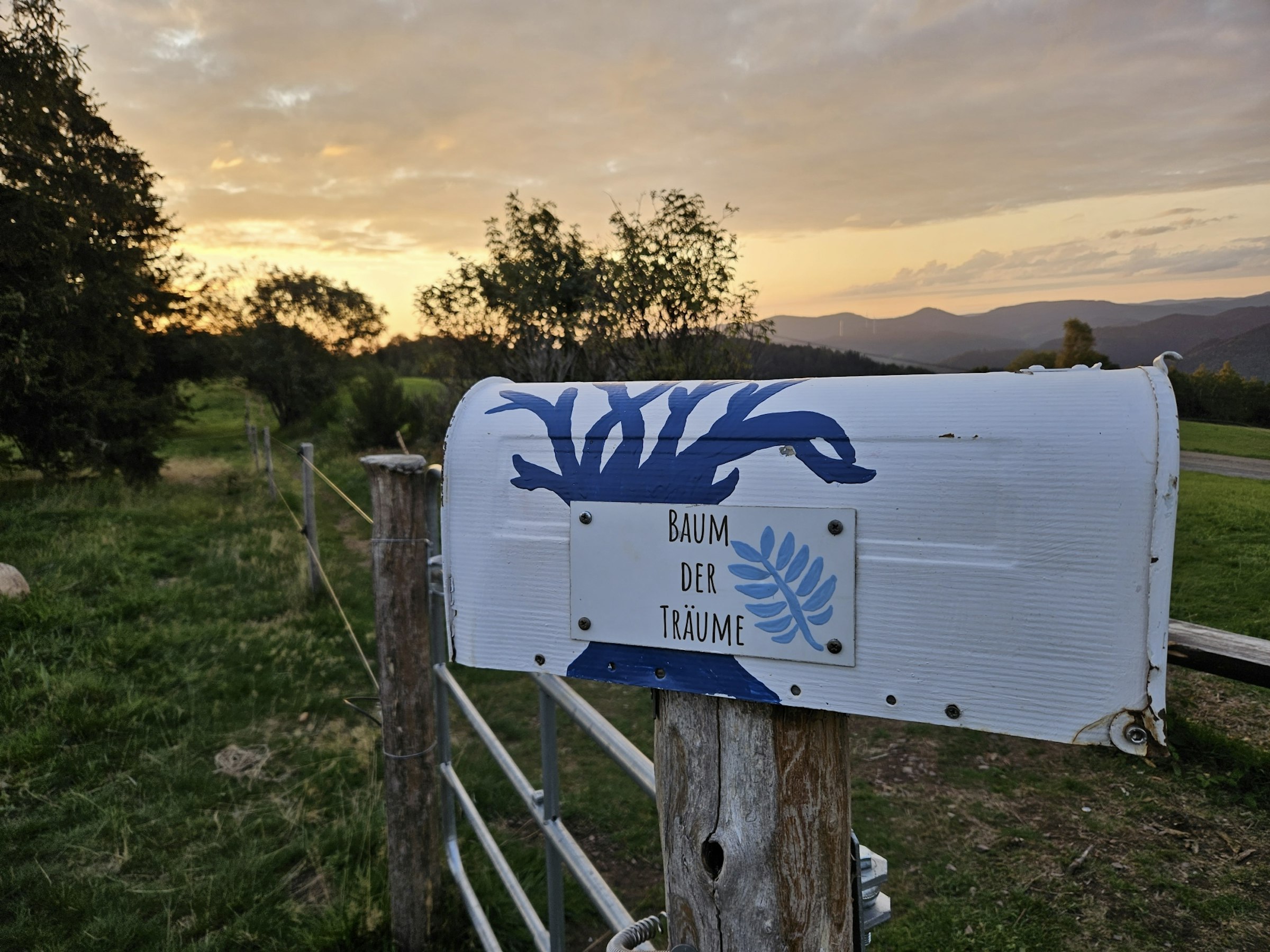 Beim Baum der Träume (Schwarzwald)