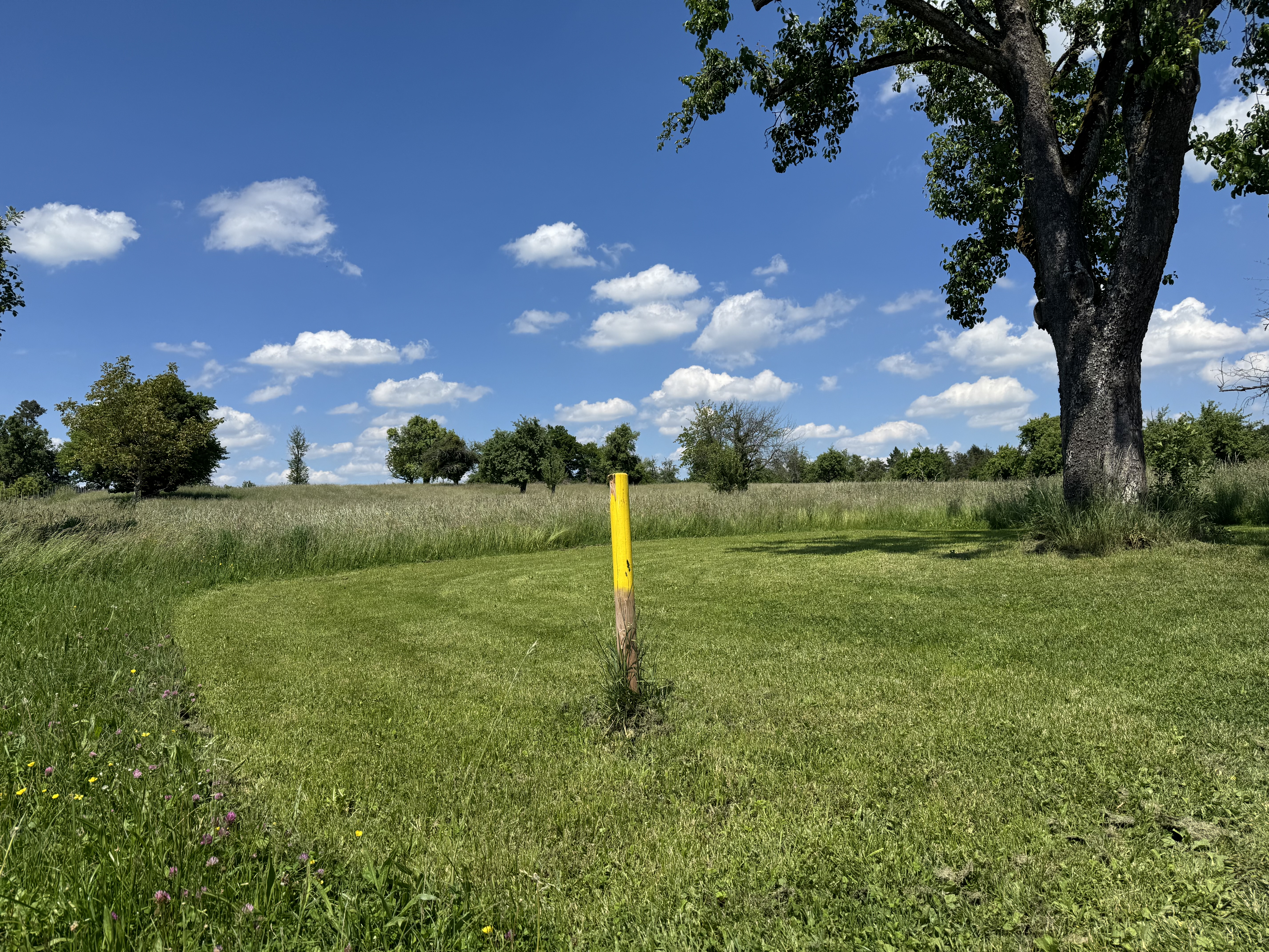 Bodenseestellplatz an der Ferienbox